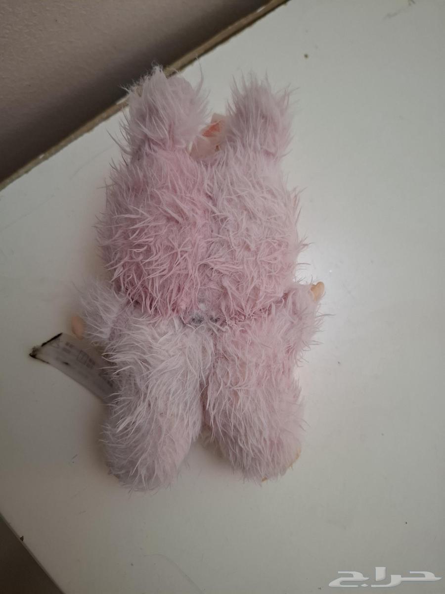 Hello and blessings of God and His mercy to Abobo, the original price is 5064556959049859112