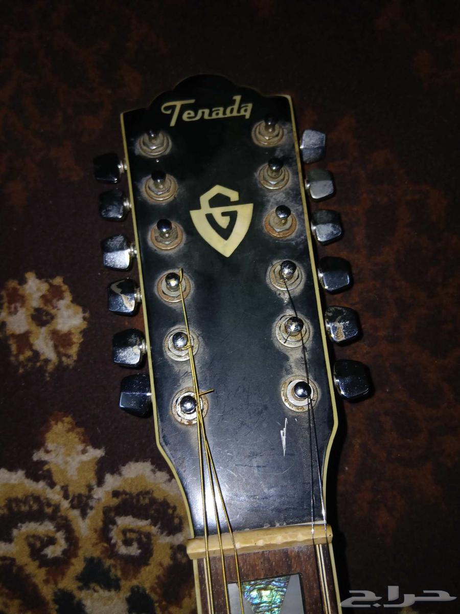 للبيع جيتار64560234709122114