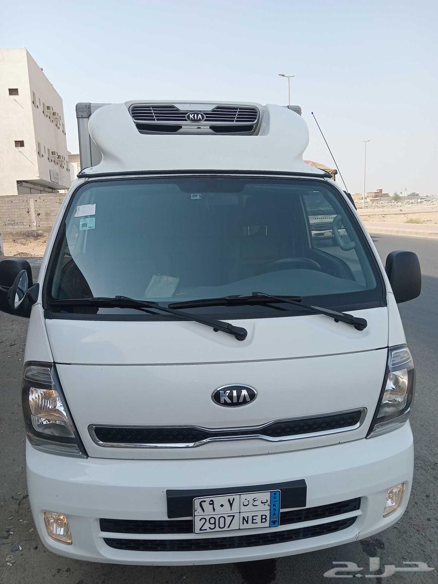 ثلاجه تبريد وتجميد64555222002435113