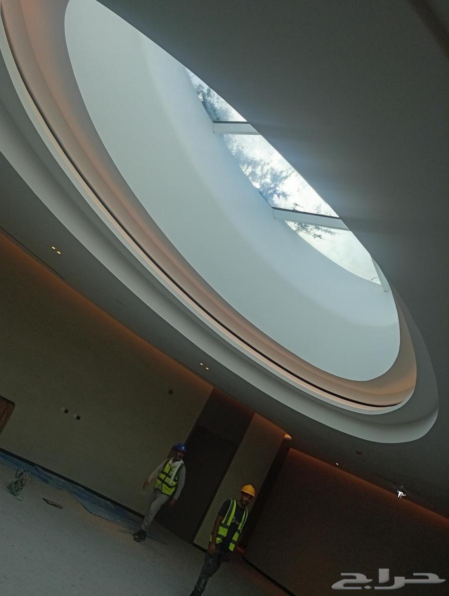 Professional painter at your service, extensive experience in the field of painting, works64371162067586110