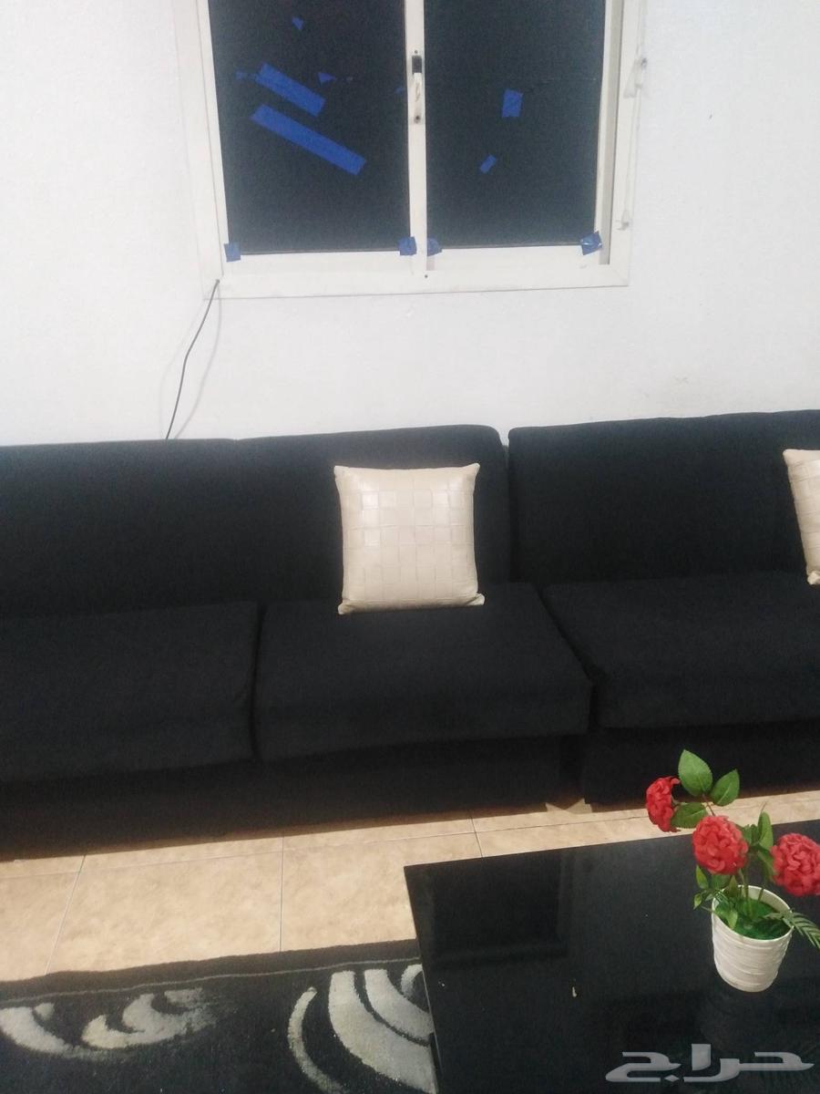 كنب للبيع64558475395969111