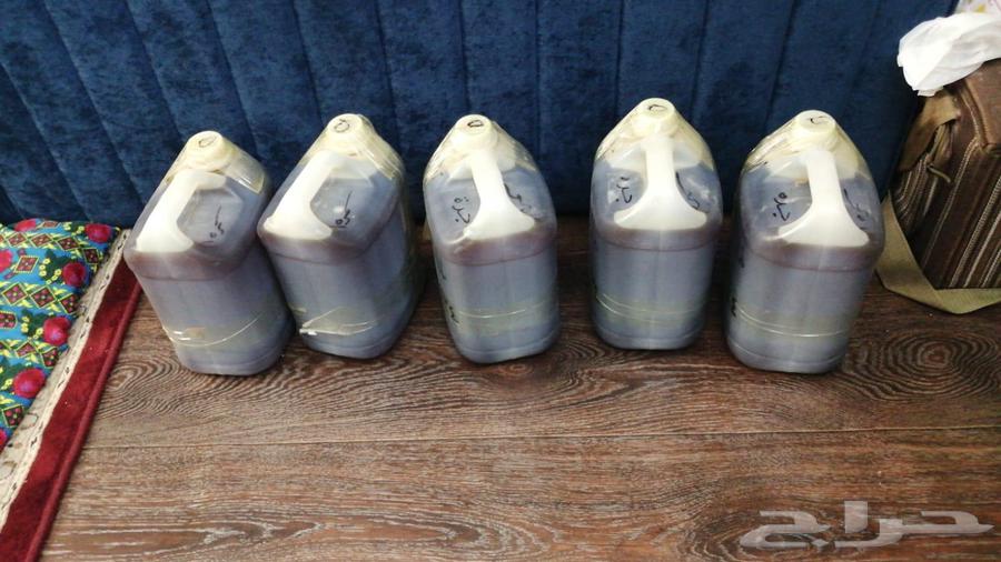 عسل سمرة حضرمي فاخر... والبيع سهل64557057928066112