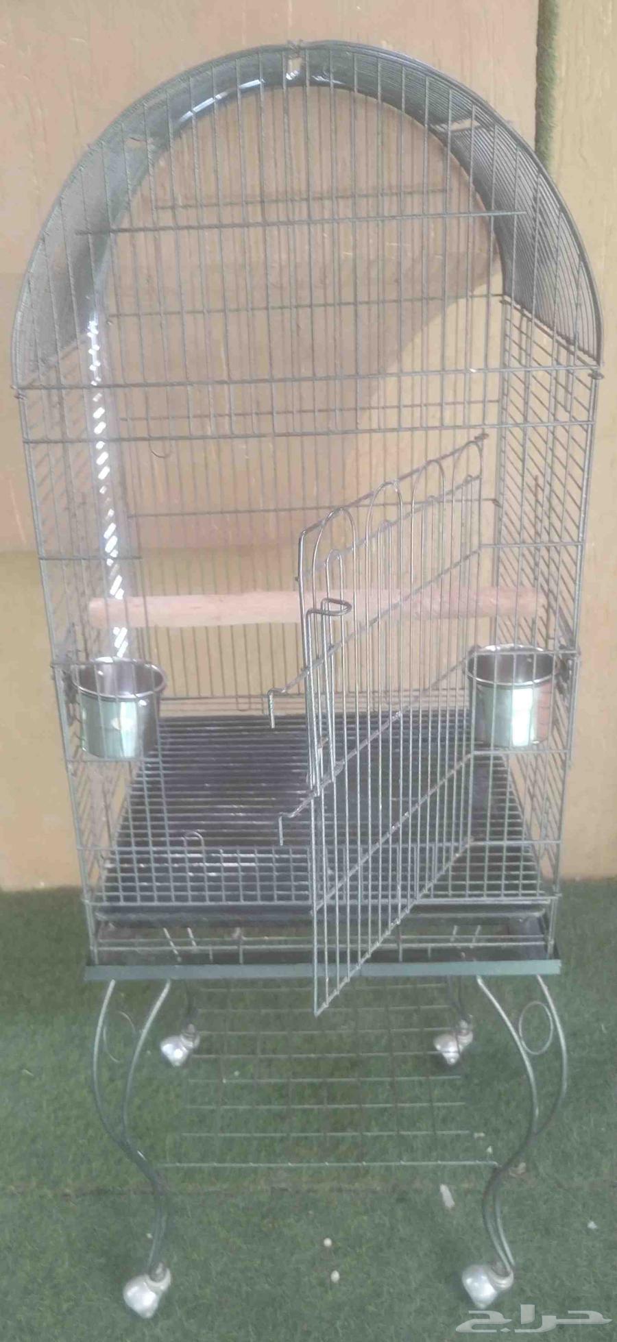 فقص بغبغان كاسكو64561685618817113