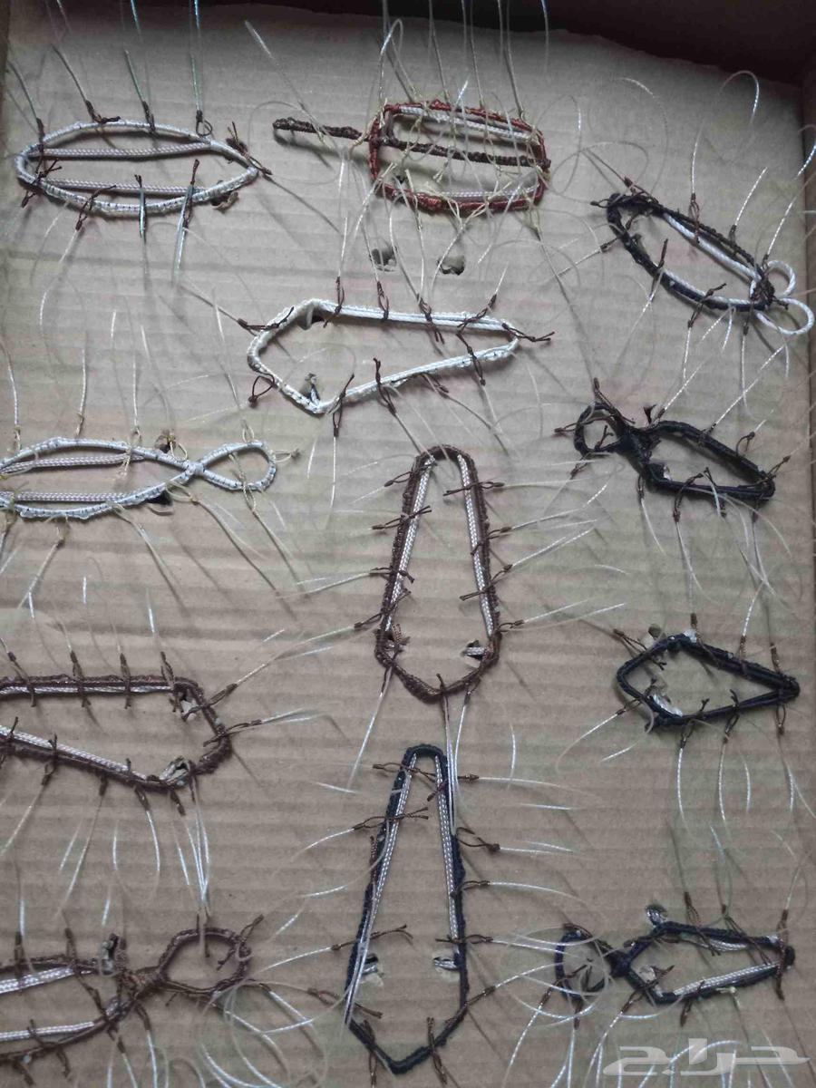 Hawk Hunting Nets64555616699138110