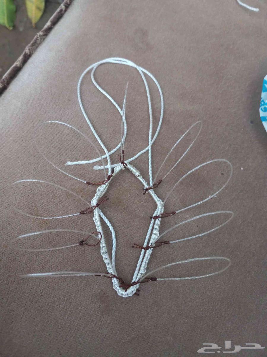 Hawk Hunting Nets64555616699138114