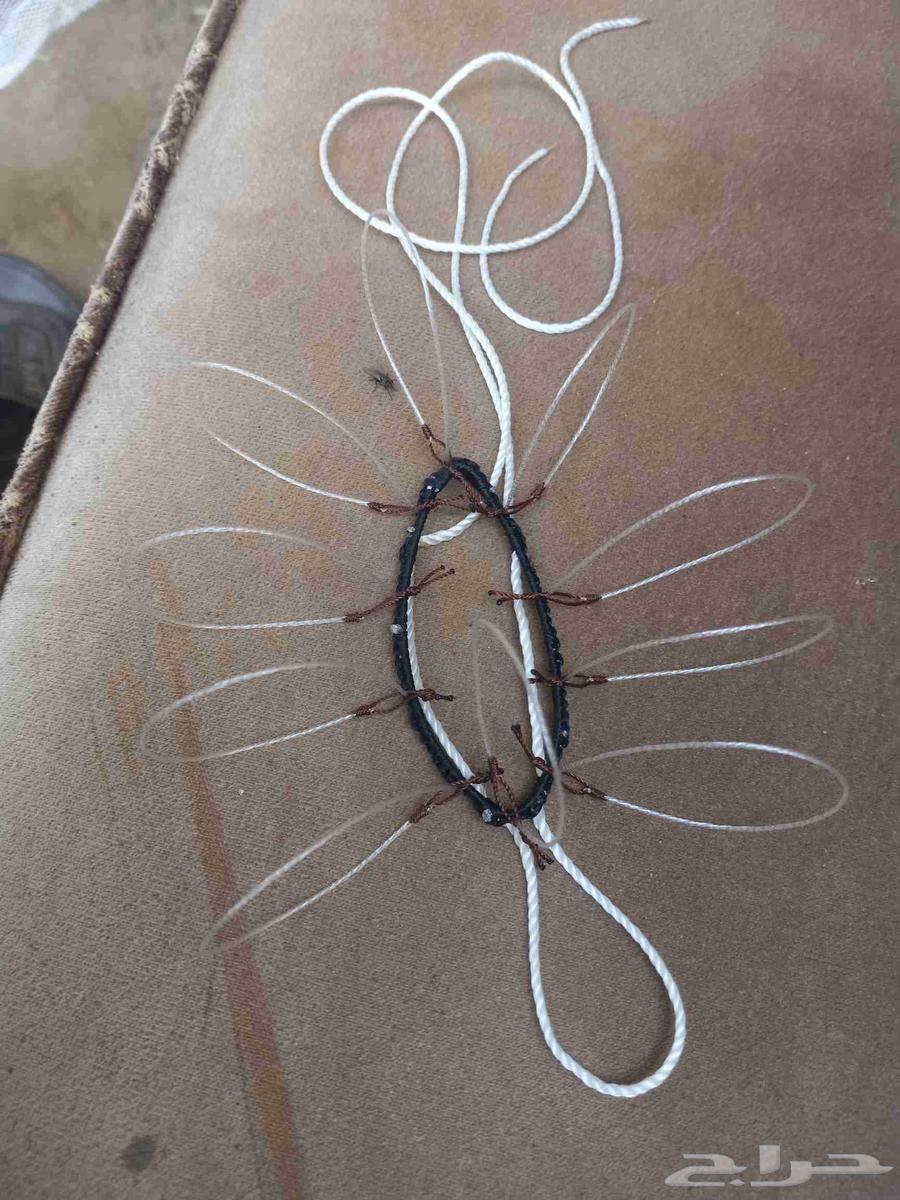 Hawk Hunting Nets64555616699138111