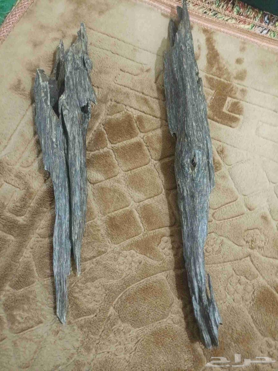 عود فاخر للبيع64554551913219110