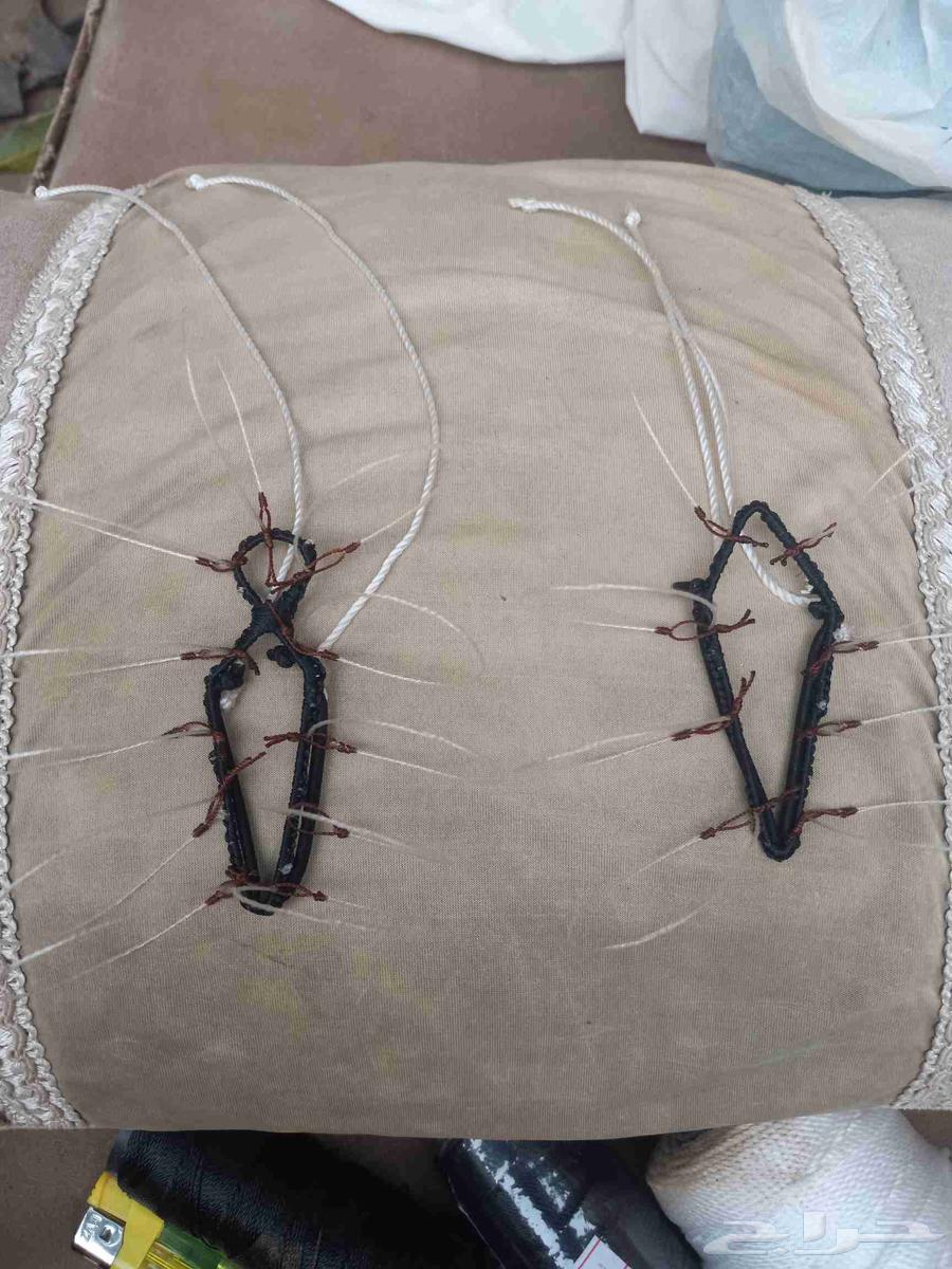 Hawk Hunting Nets64555616699138112