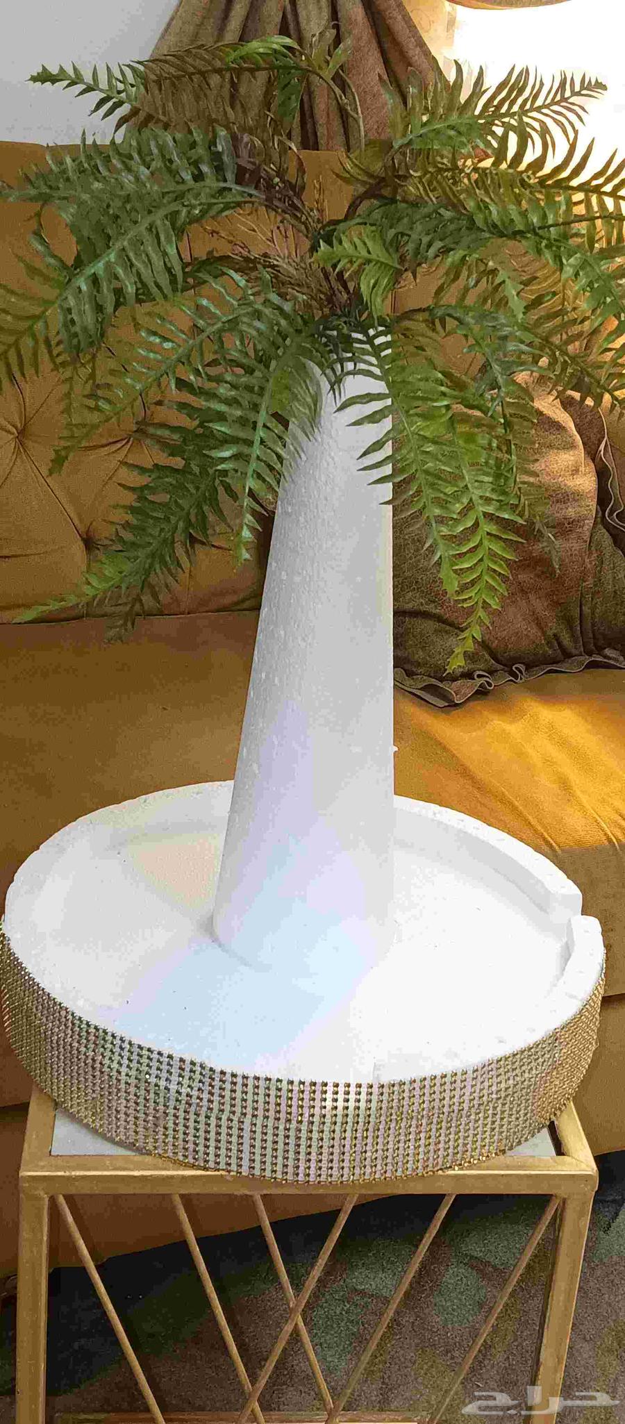 نخلة تمر لليوم الوطني والمناسبات عرض خاص64556973503747113