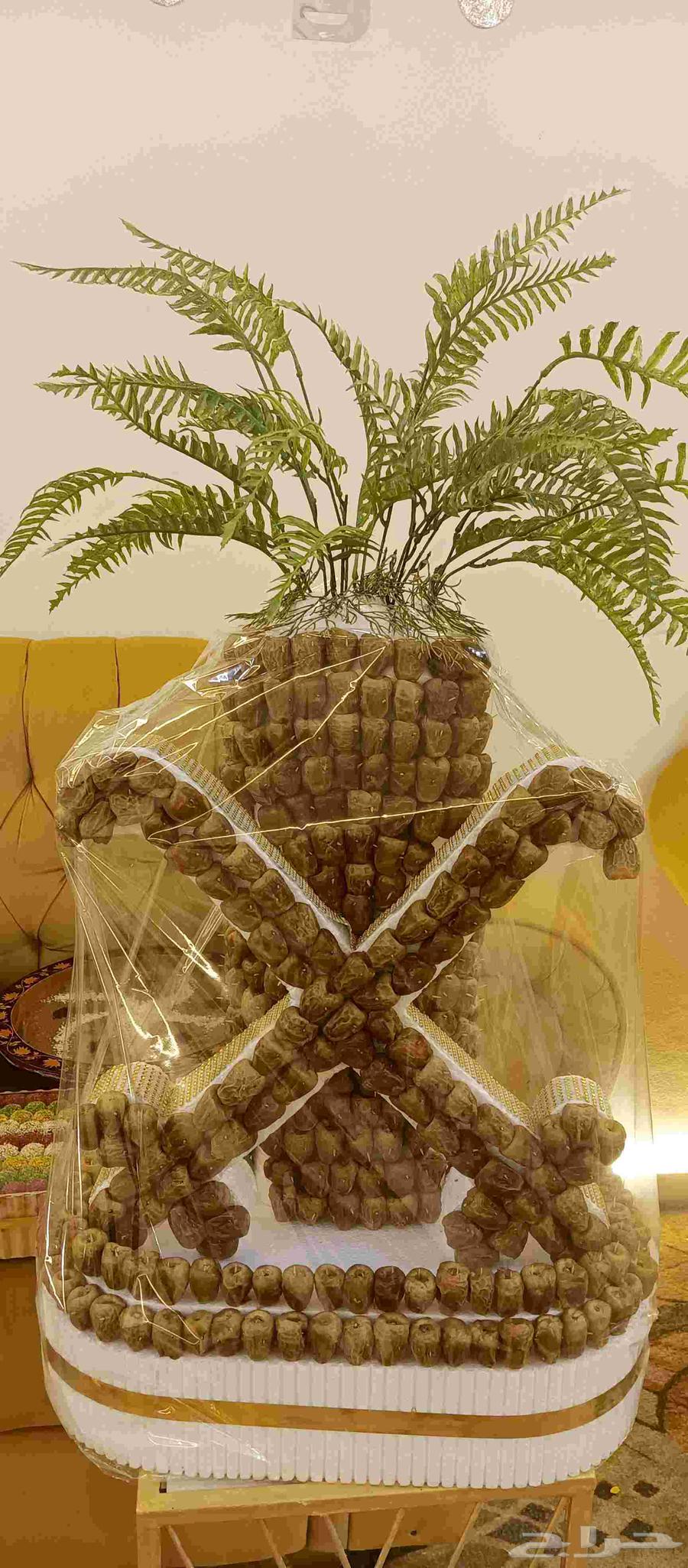 نخلة تمر لليوم الوطني والمناسبات عرض خاص64556973503747110