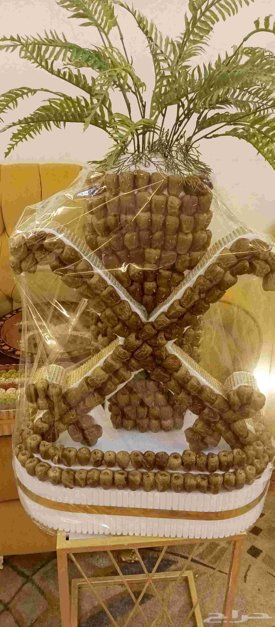 نخلة تمر لليوم الوطني والمناسبات عرض خاص64556973503747111