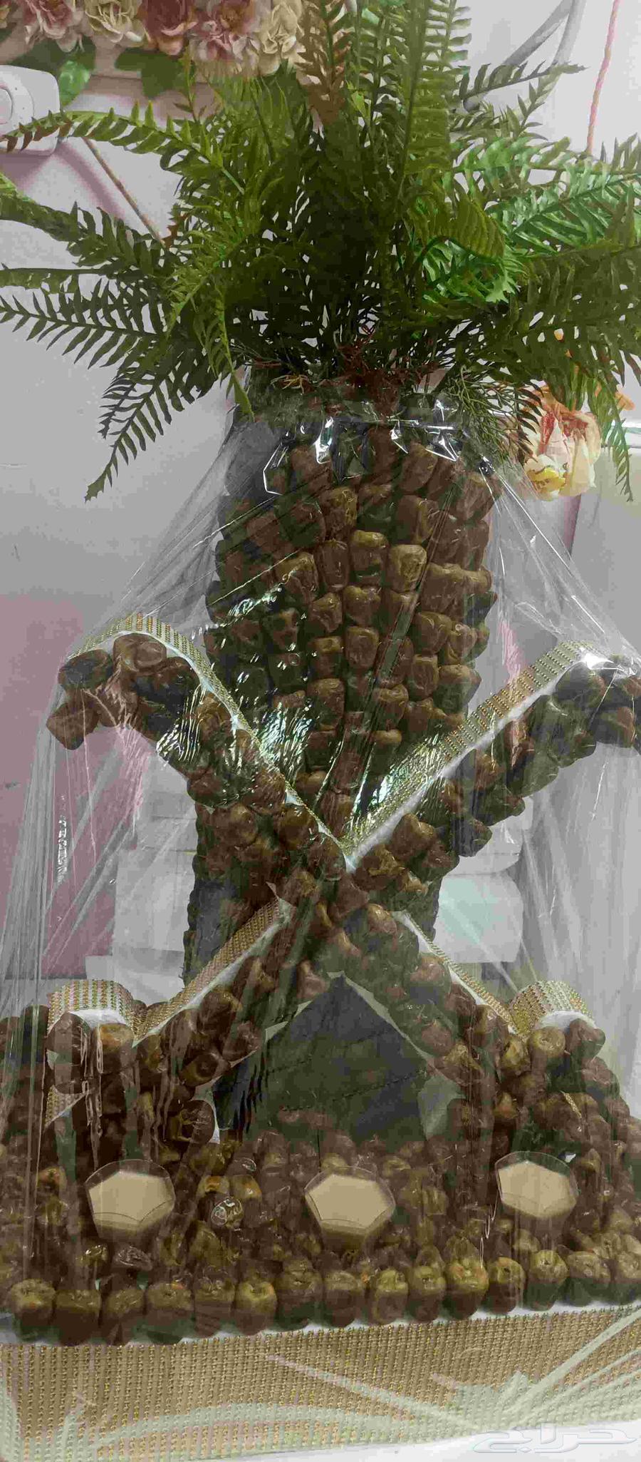 نخلة تمر لليوم الوطني والمناسبات عرض خاص64556973503747112