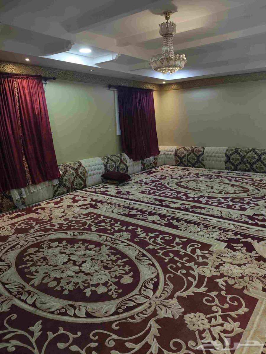 Backrests, Curtains, and Carpets64557962384641110