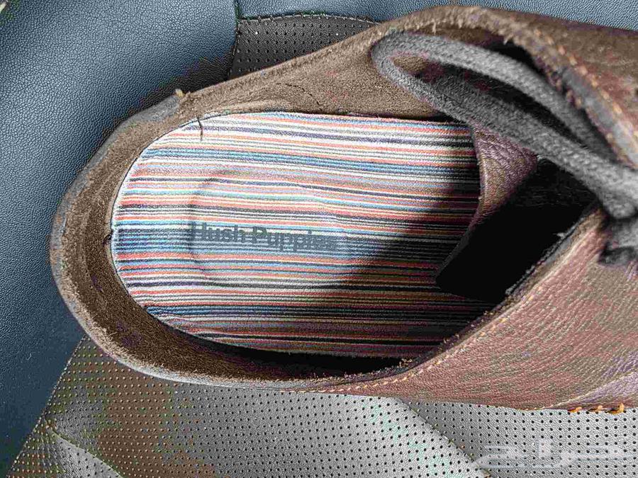 Hush puppies men shose size 42 as new64556042183681113