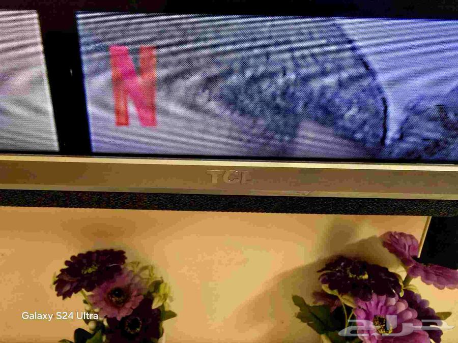 شاشة TCL مقاس 65 بوصه64558683421953113