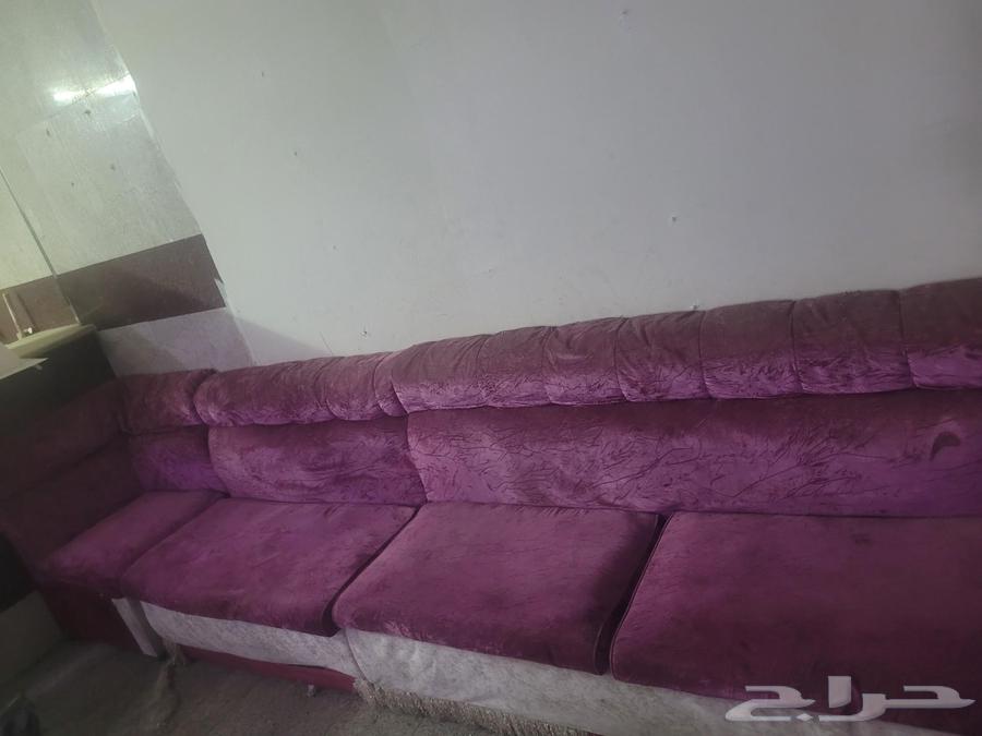 أنتريه ب 150 ريال والفريزر ب 350 ريال64558766977538110