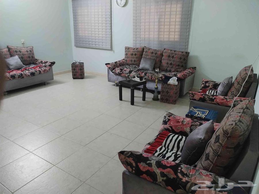 Clean sofa set64556413378690110