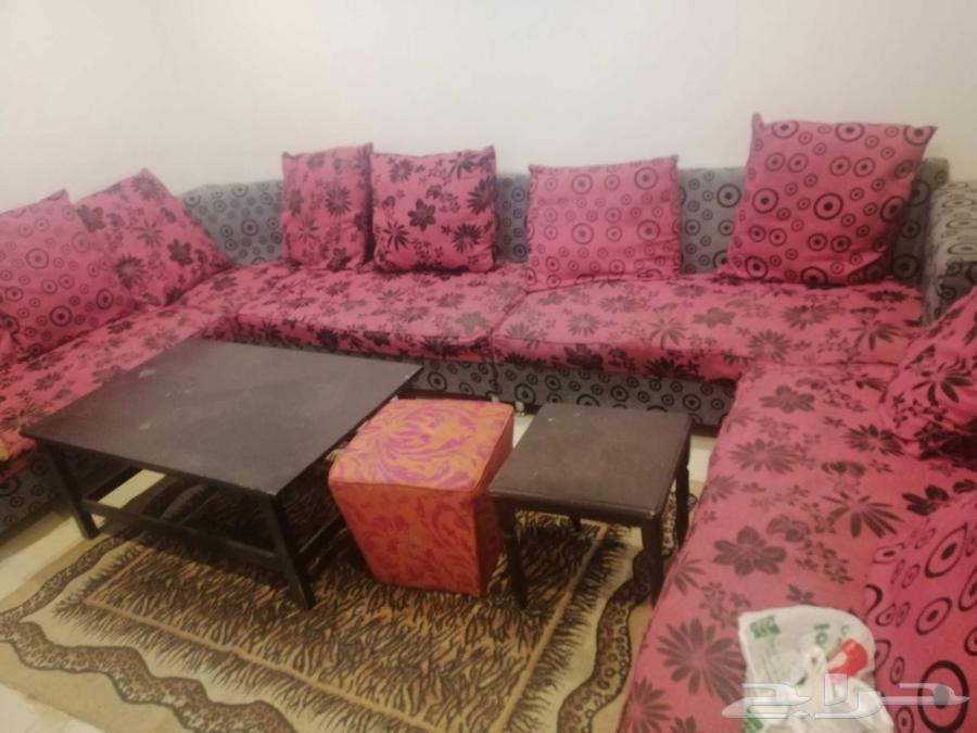 مجلس 6 قطع مع طاوله جديده ب300 ريال سعر نهائي64561953874179110