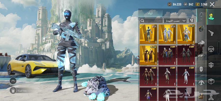 PUBG account level 8364554006319619111