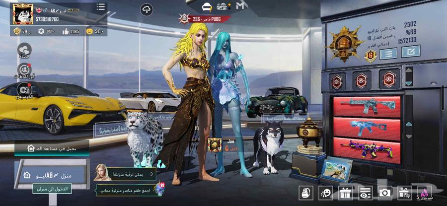 PUBG account level 8364554006319619110