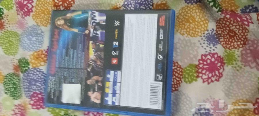 شريط مصارعة 2022 جديد خصم20 بل مئة 60 ريال64557280798593113