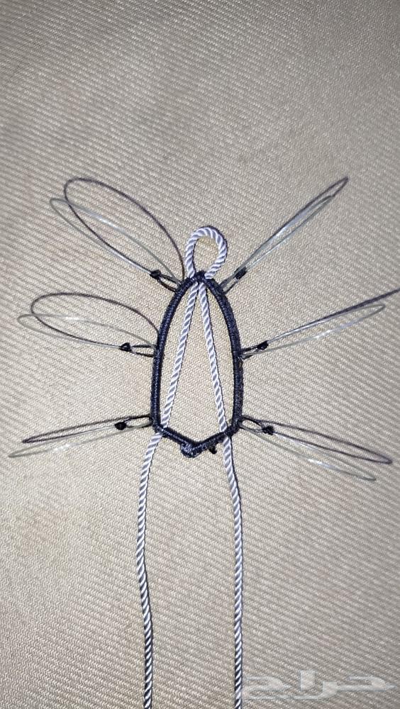 شبك صيد الصقور64560052414082114