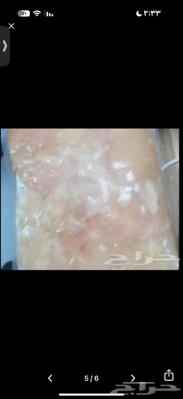 صدور دجاج فيليه64557203096705110