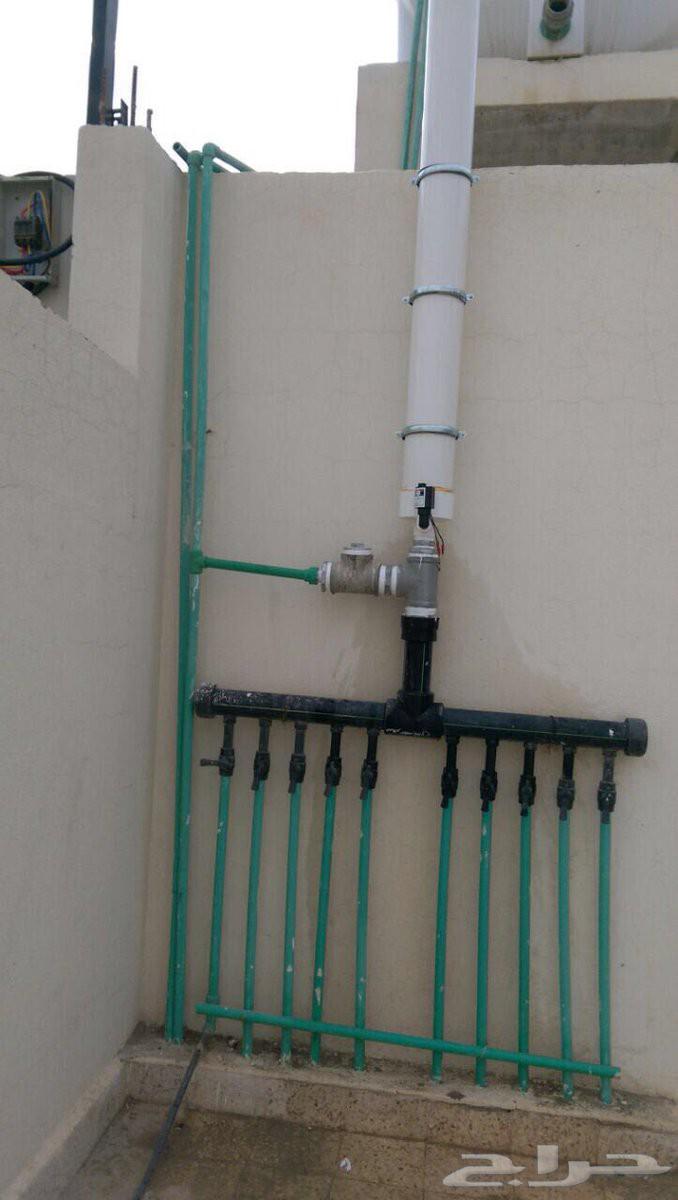 سباك باكستاني64607854999554111