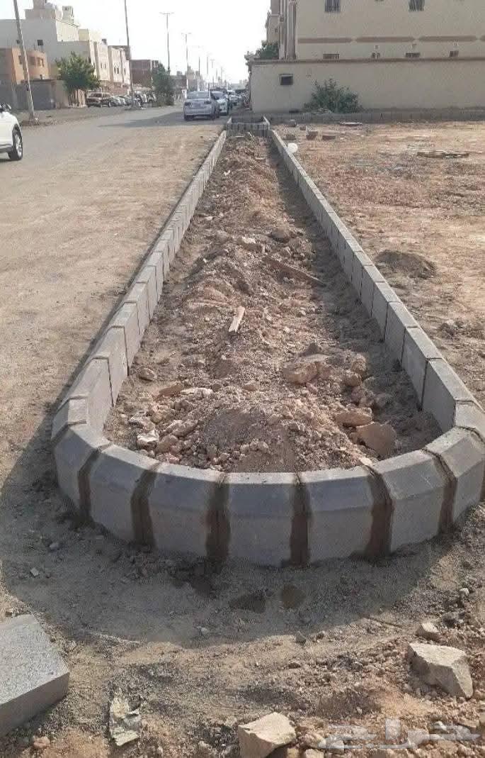 Tile and Interlock Expert64271279720833112