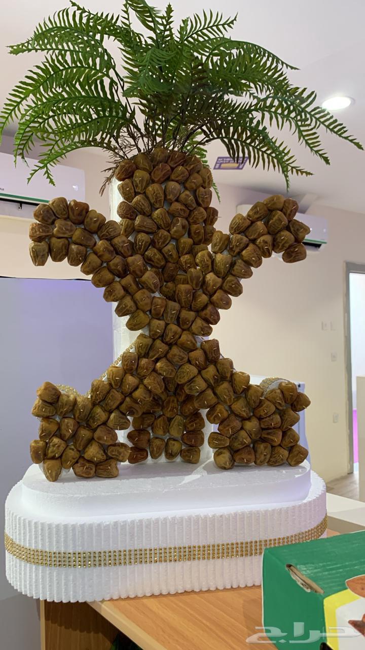 نخلة تمر لليوم الوطني والمناسبات عرض خاص64556973503747114