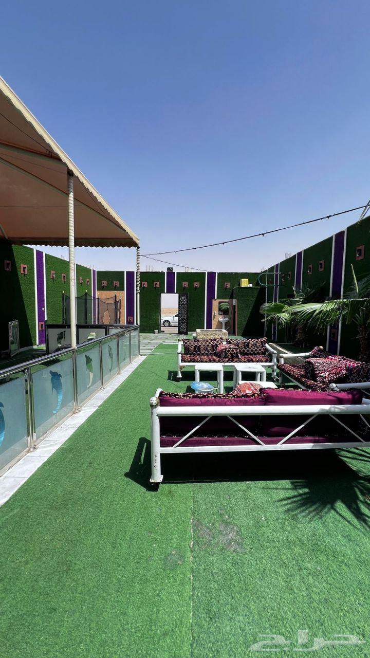 عروض اليوم الوطني شاليهات جنوب الرياض64558892061954113