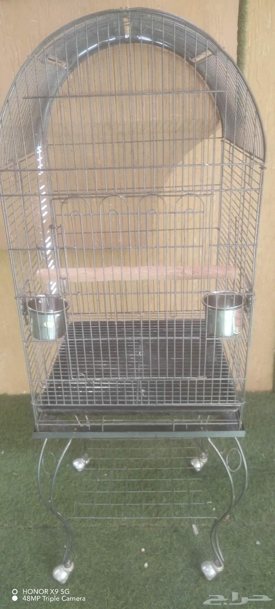 فقص بغبغان كاسكو64561685618817112