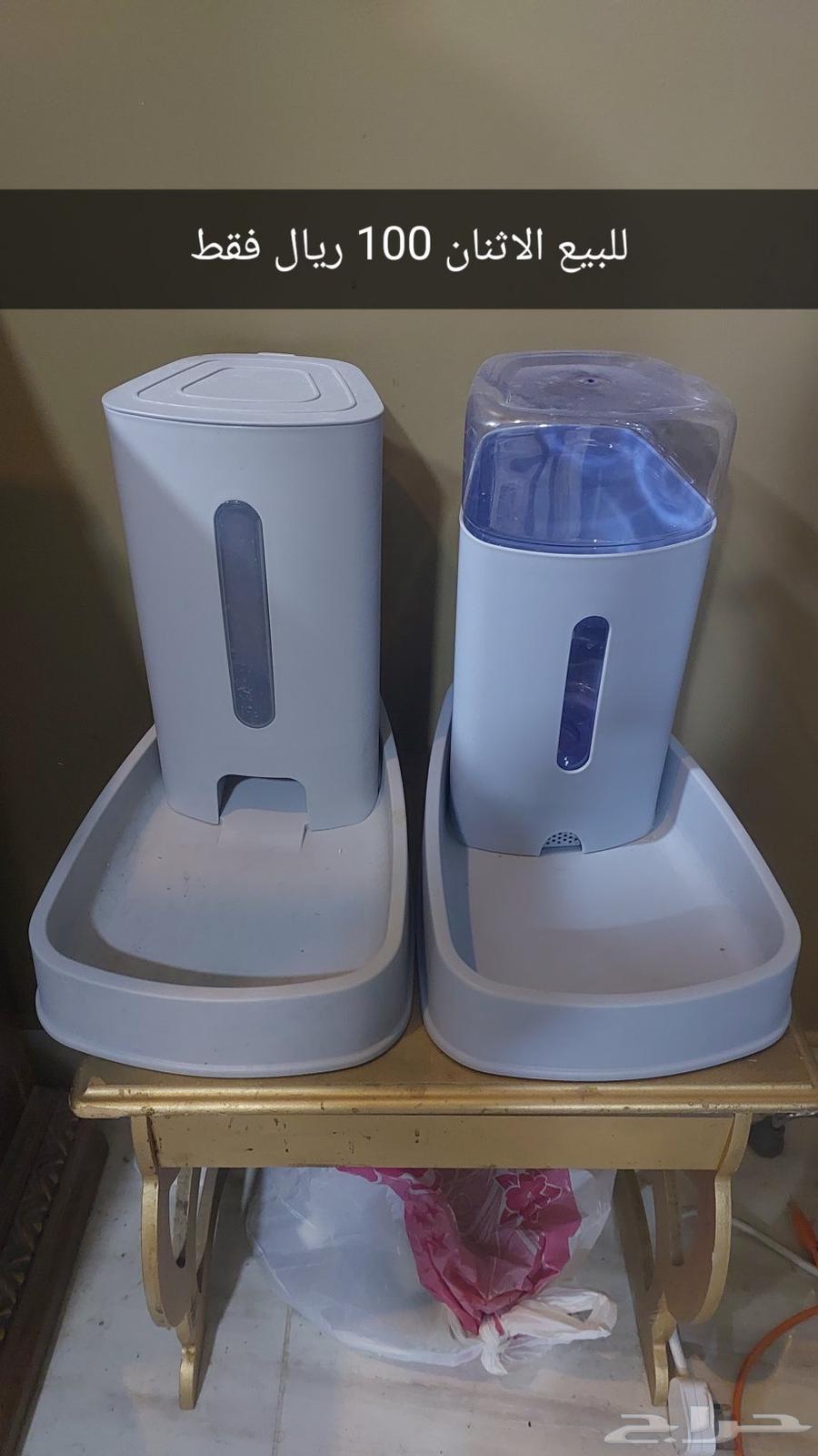 مشربيه قطط جديده 100 ريال الاثان64555040113027110