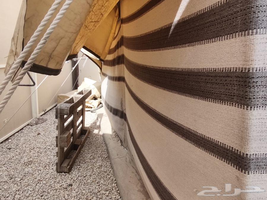 بيت شعر   كنب   زل   اثاث64571436781442114