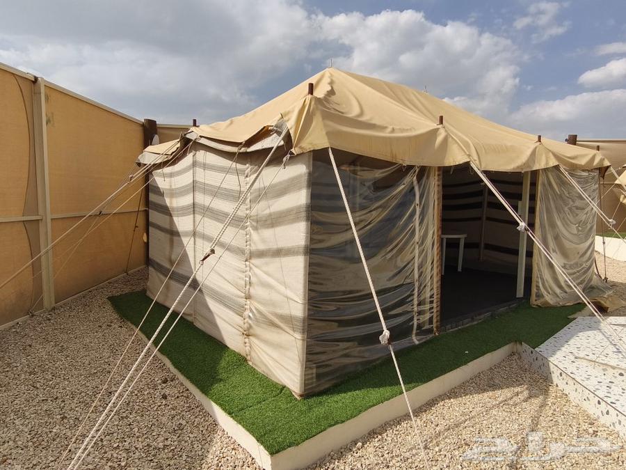 بيت شعر   كنب   زل   اثاث64571436781442113