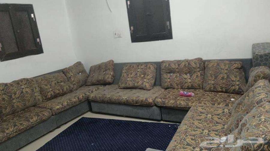 أثاث للبيع كله بحالة ممتازة64562768526339113