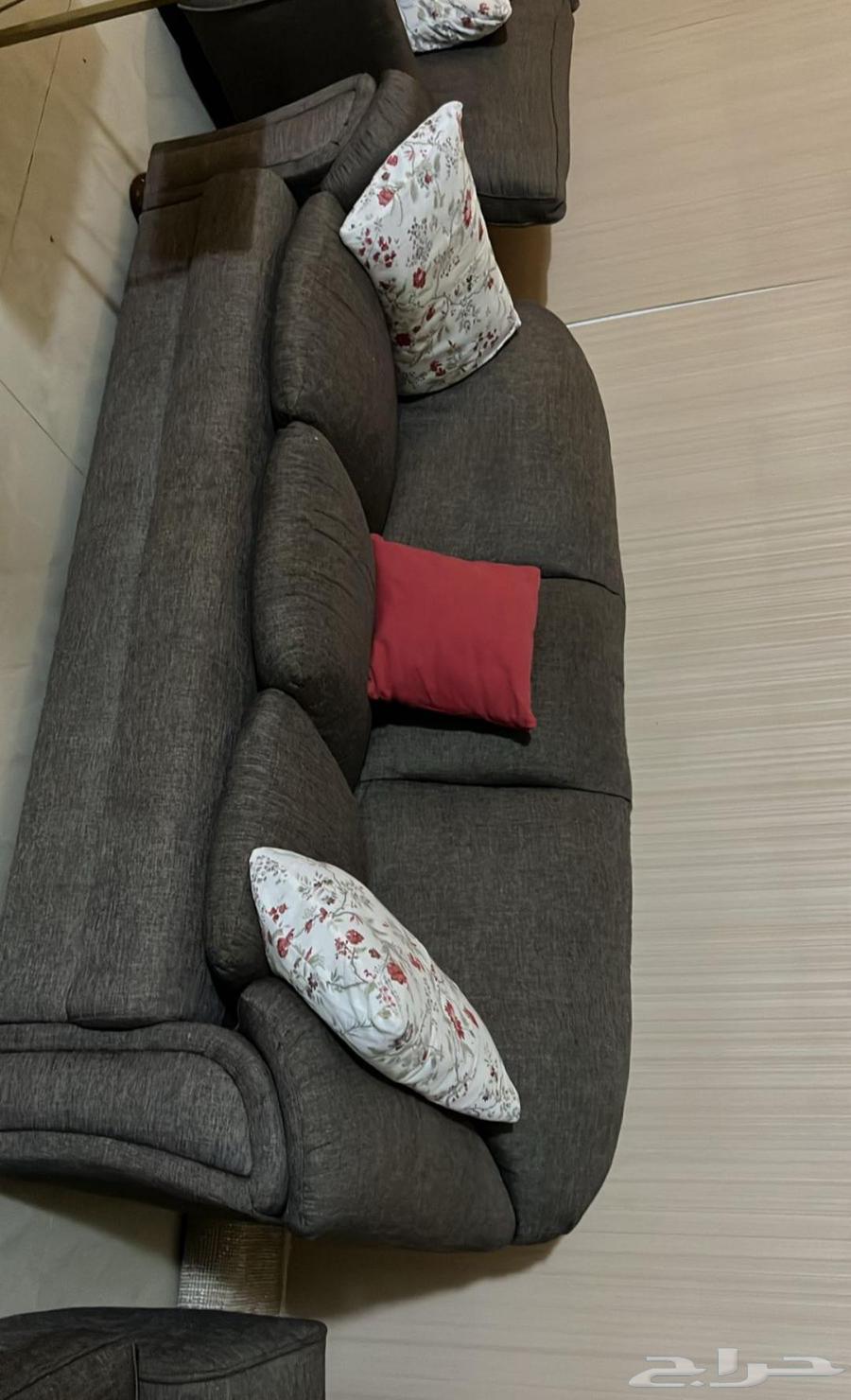 طقمين كنب منجدين نفس اللون64567808547331110