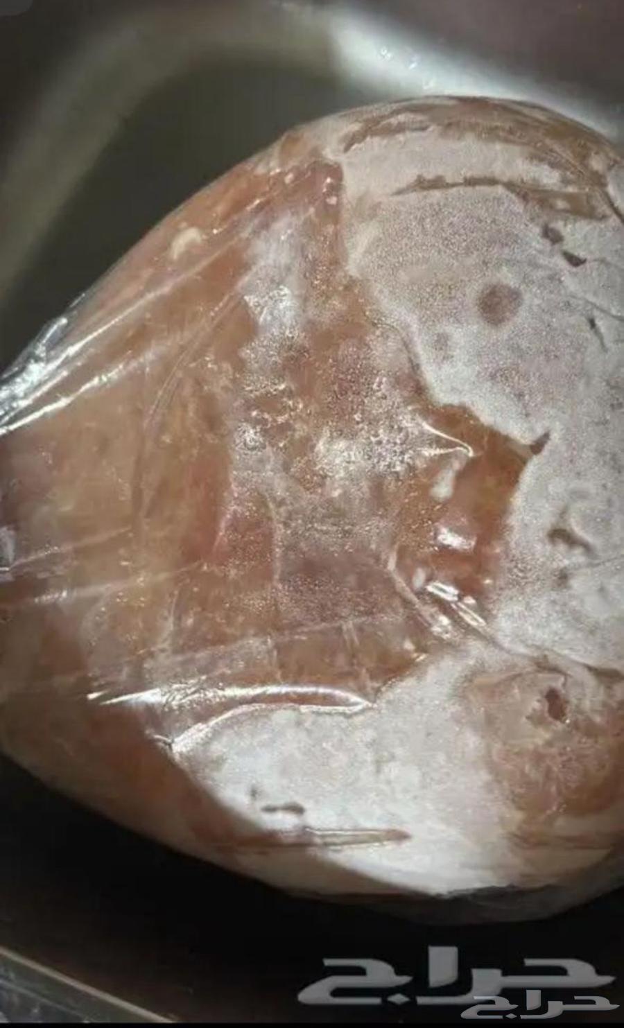 صدور دجاج فيليه64566548161155114