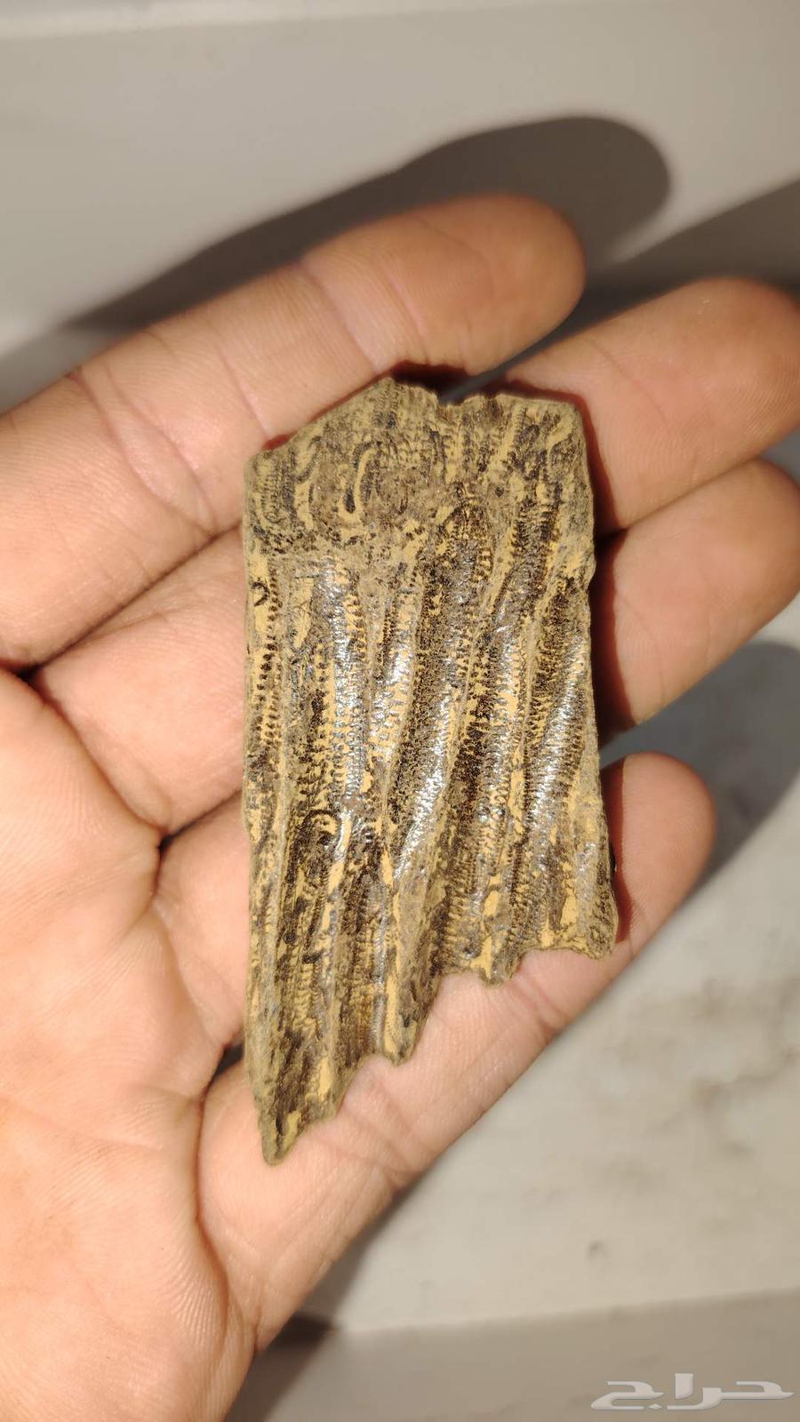 كلمنتان طبيعي محسن بيوور اي بي سوبر درجه اولى( العود الازرق)64566921008259113