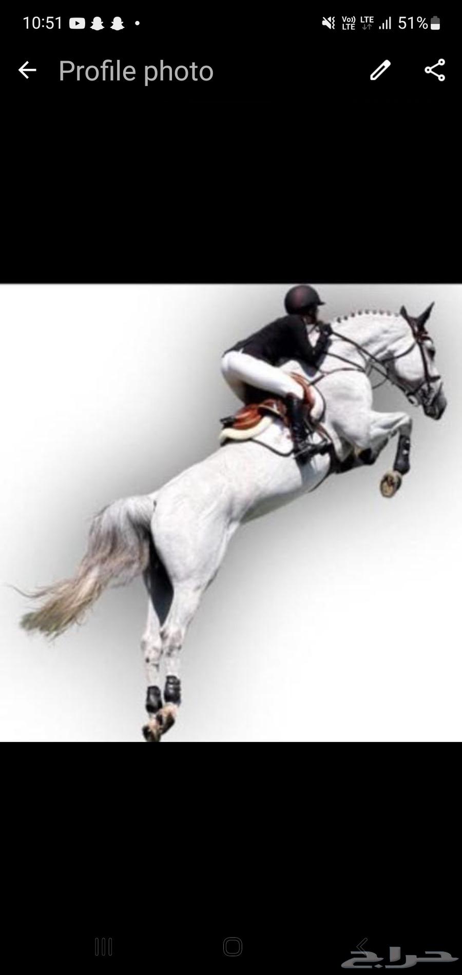 عرض مجنون درس عليك ودرس علينا ب 100 فقط فروسية وعلاج طبيعي64568408763907110