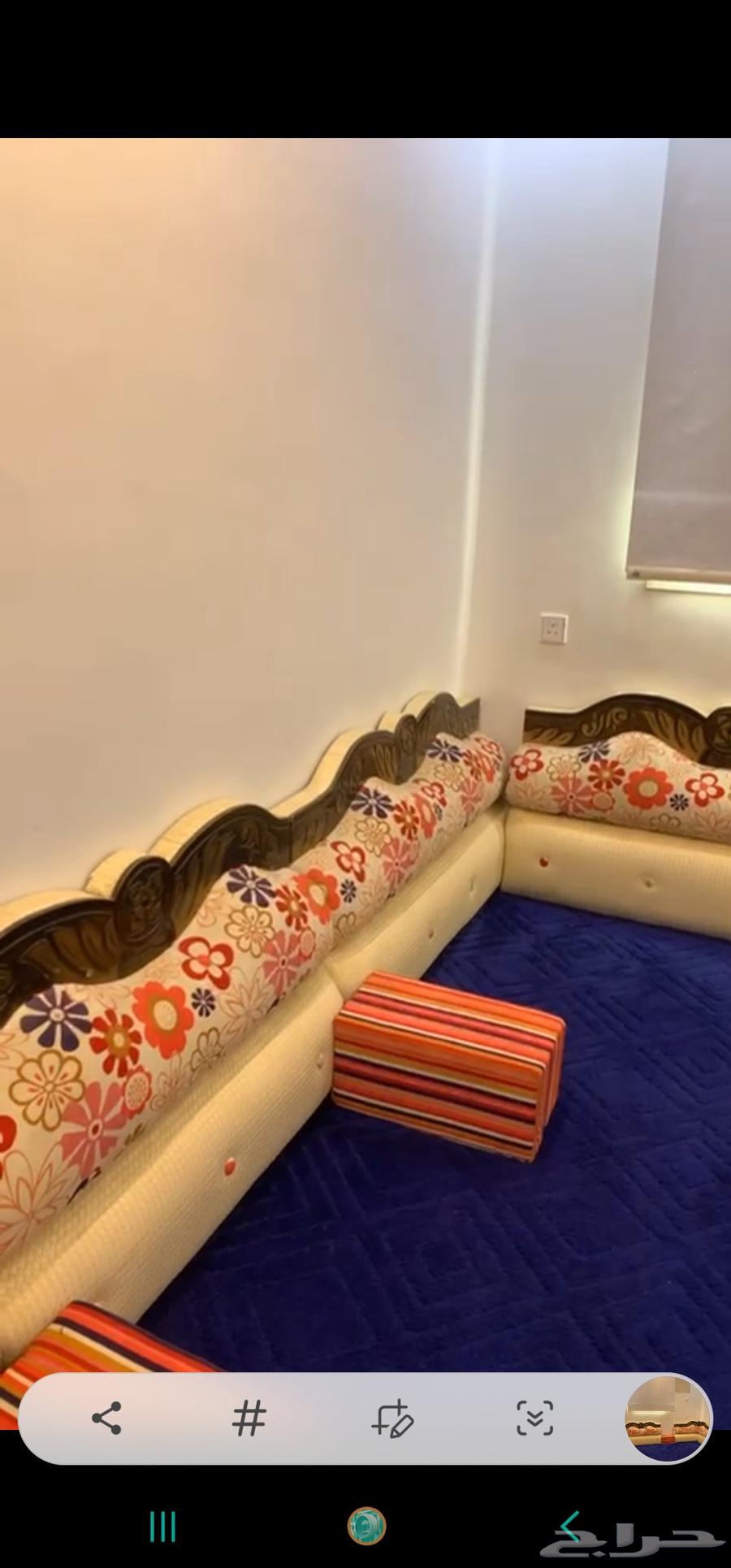 سجاد موكيت ومجلس عربي64562993079298112