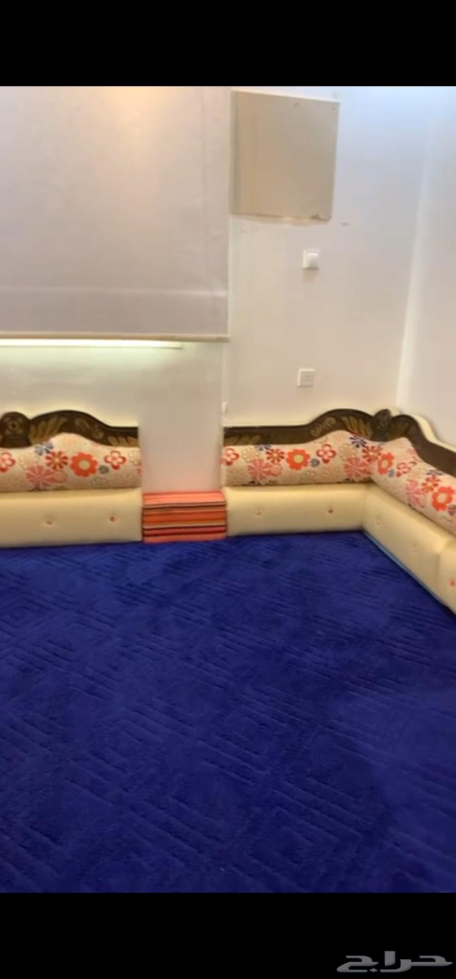 سجاد موكيت ومجلس عربي64562993079298111