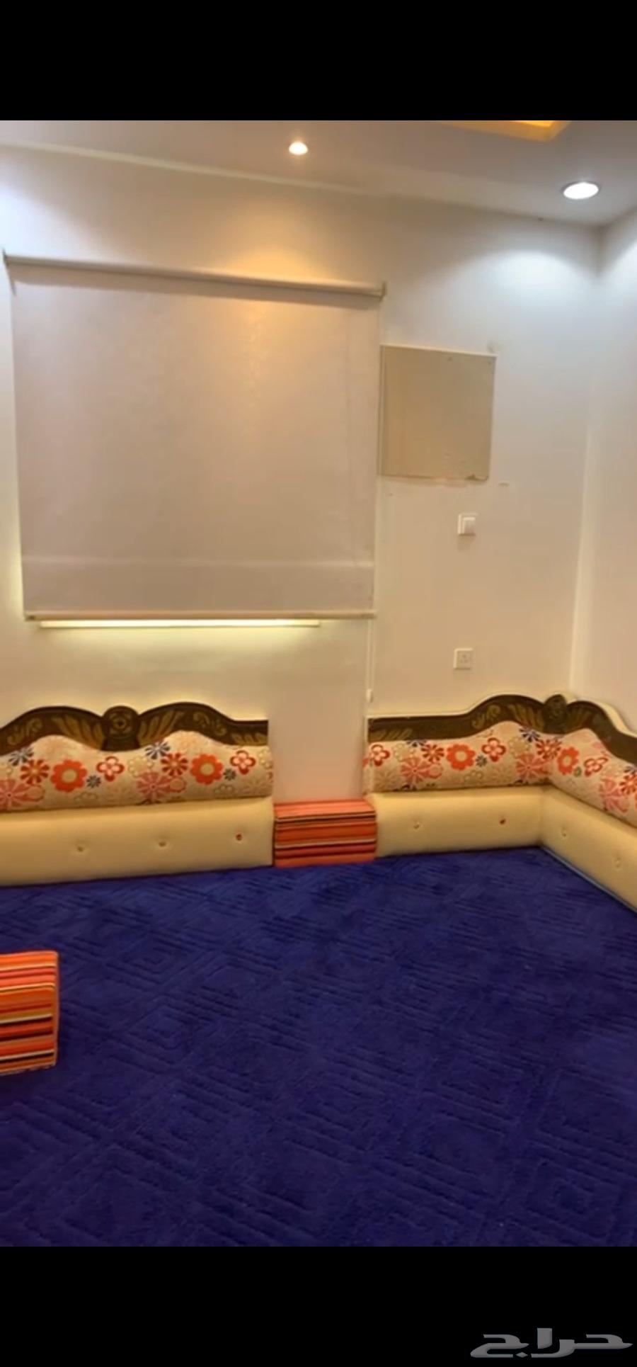 سجاد موكيت ومجلس عربي64562993079298113