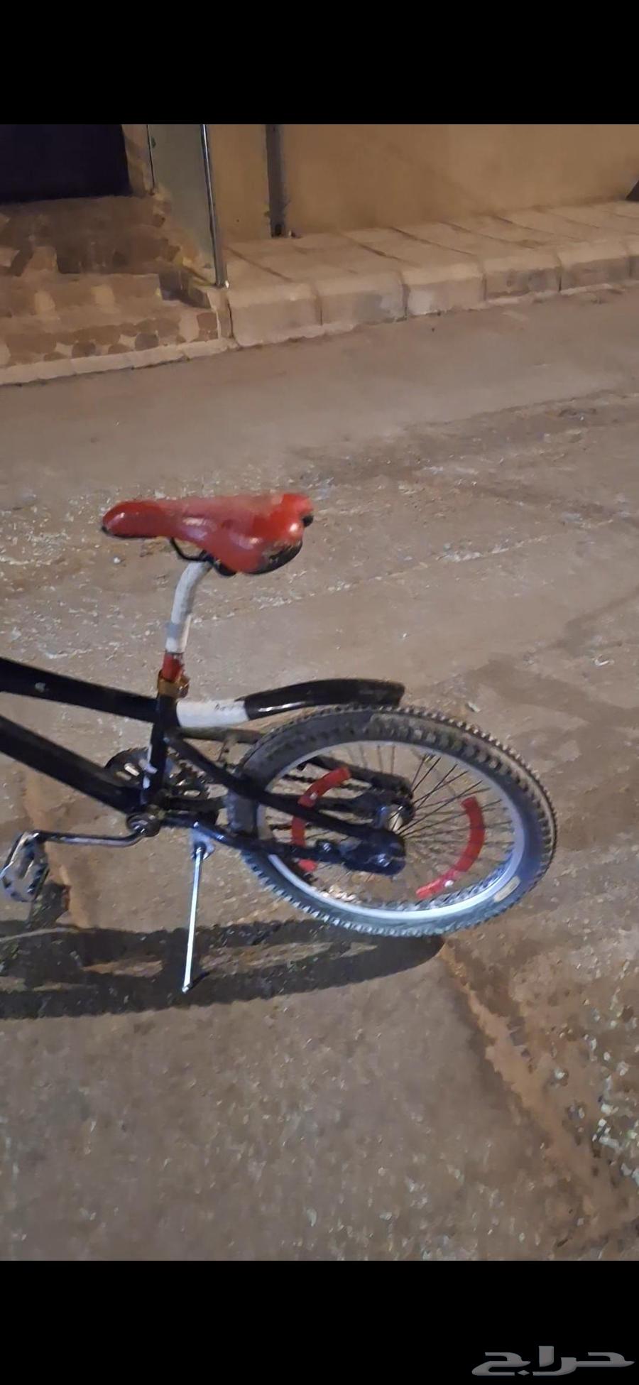 كوبرا جديد64569206507395110