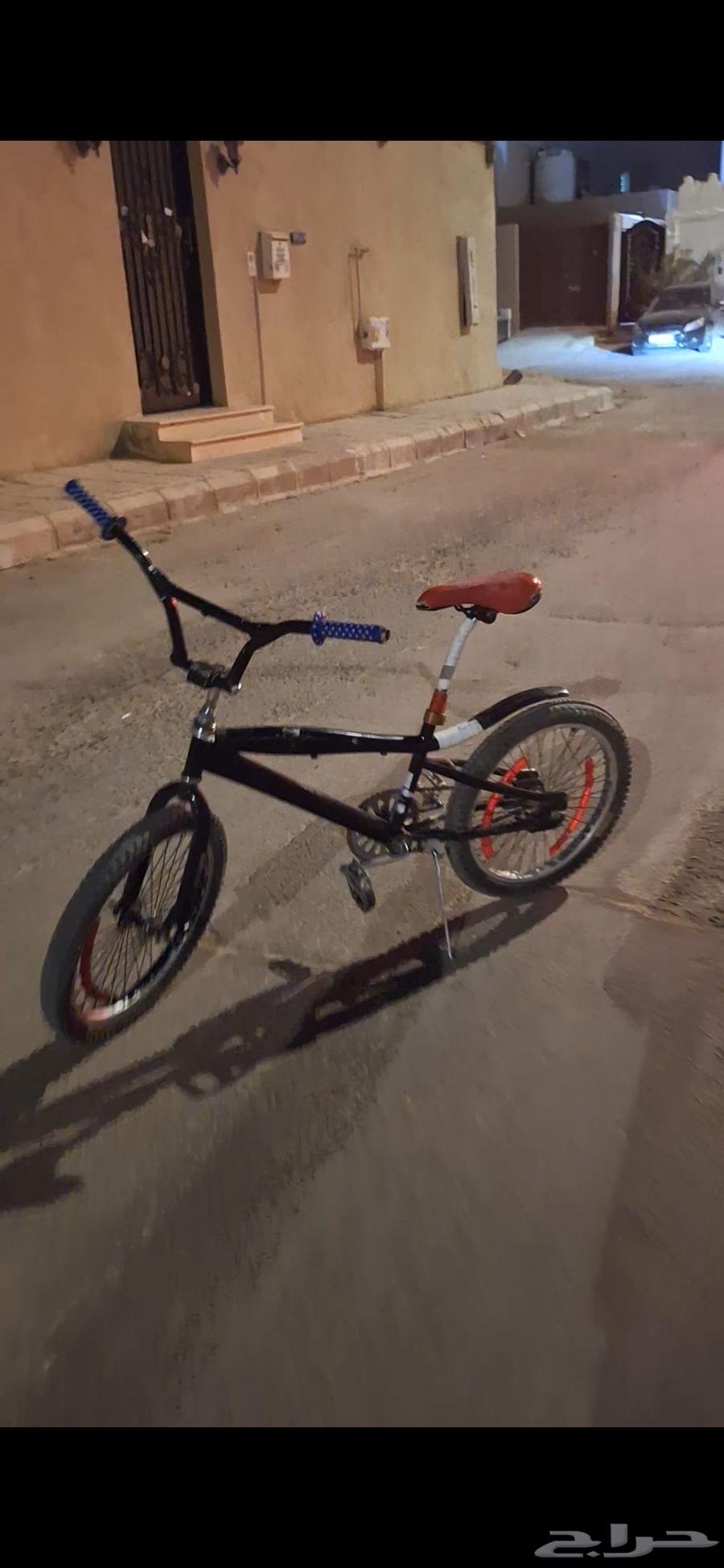 كوبرا جديد64569206507395113