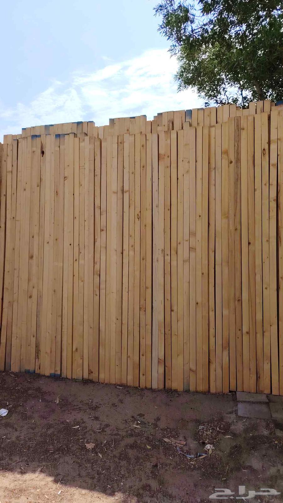 إيجار وبيع الاخشاب64569985192962112