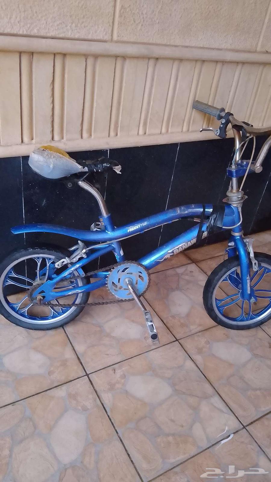 سيكل رامبو استعمال شهر جديد بكوبرا ما يشتري الا الصمال64569998736257111