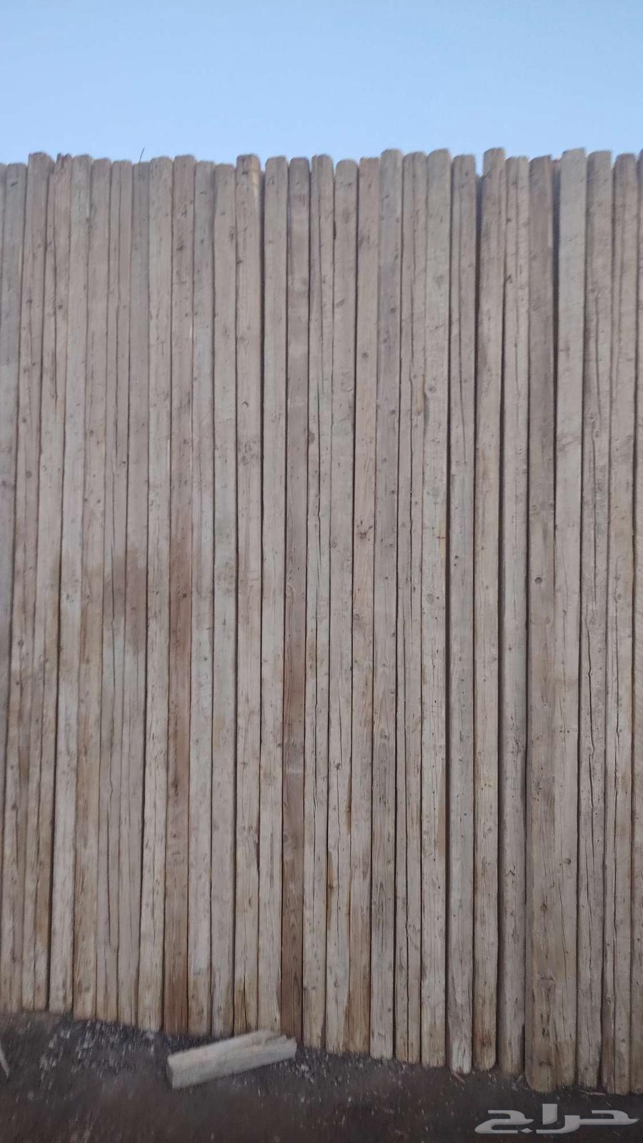 إيجار وبيع الاخشاب64569985192962114