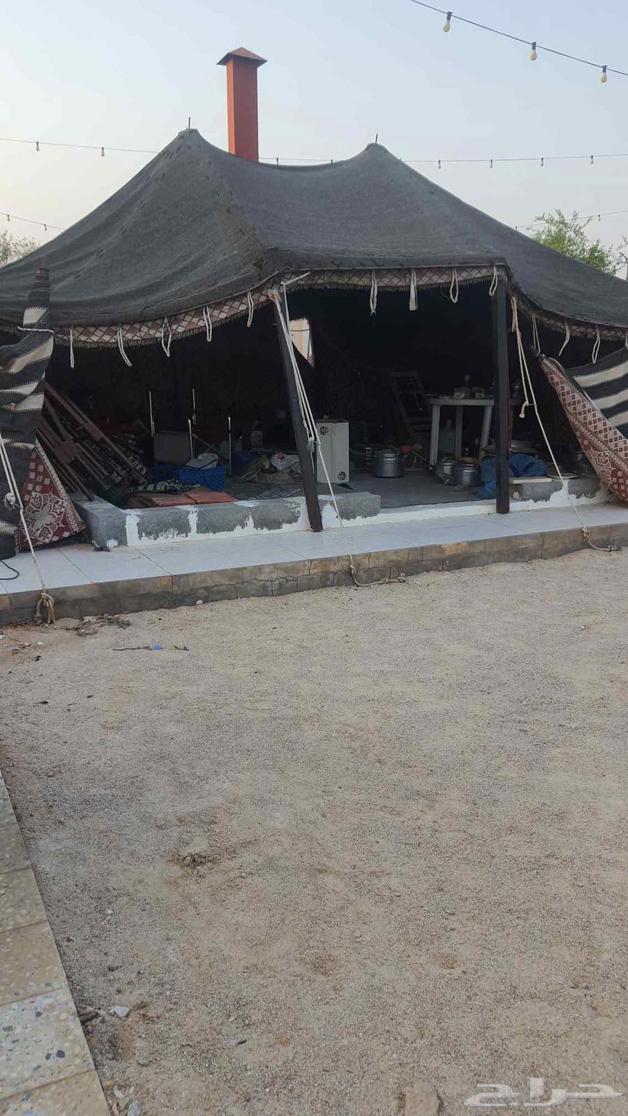 Heavy-duty two-pole tent, size 5 by 8, clean64568285313921110