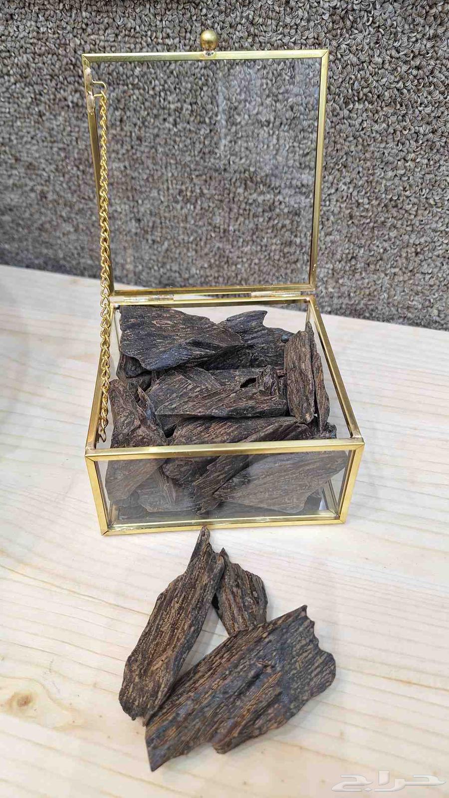 عود كلمنتان64571217307394110